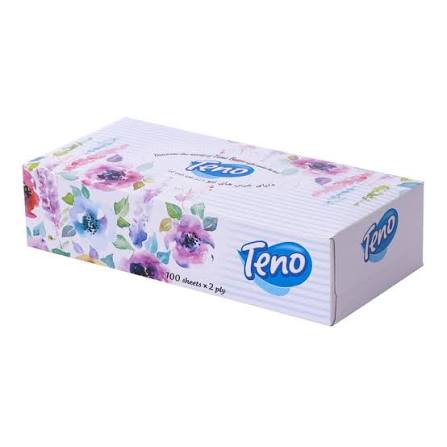 دستمال کاغذی جعبه تنو100برگ